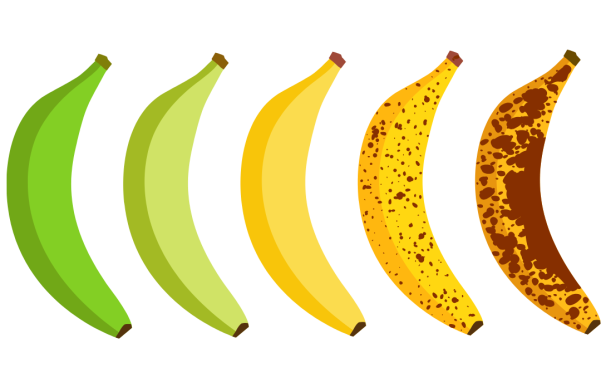 the difference between health and vitality
